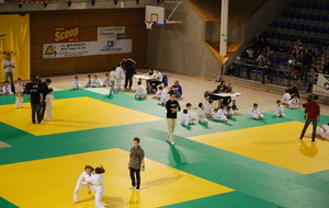 52ef538d9b43e_Judo3.JPG