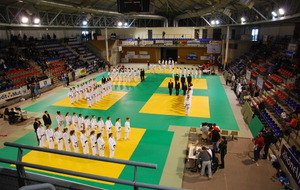 52ef538de81a3_Judo4.JPG