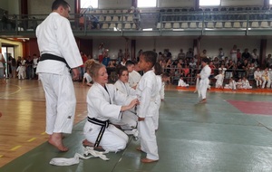 5b1c3f2cda444_fbjudofam016.jpg