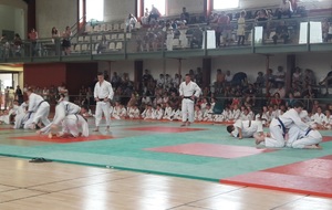 5b1c3f3258cdb_fbjudofam017.jpg